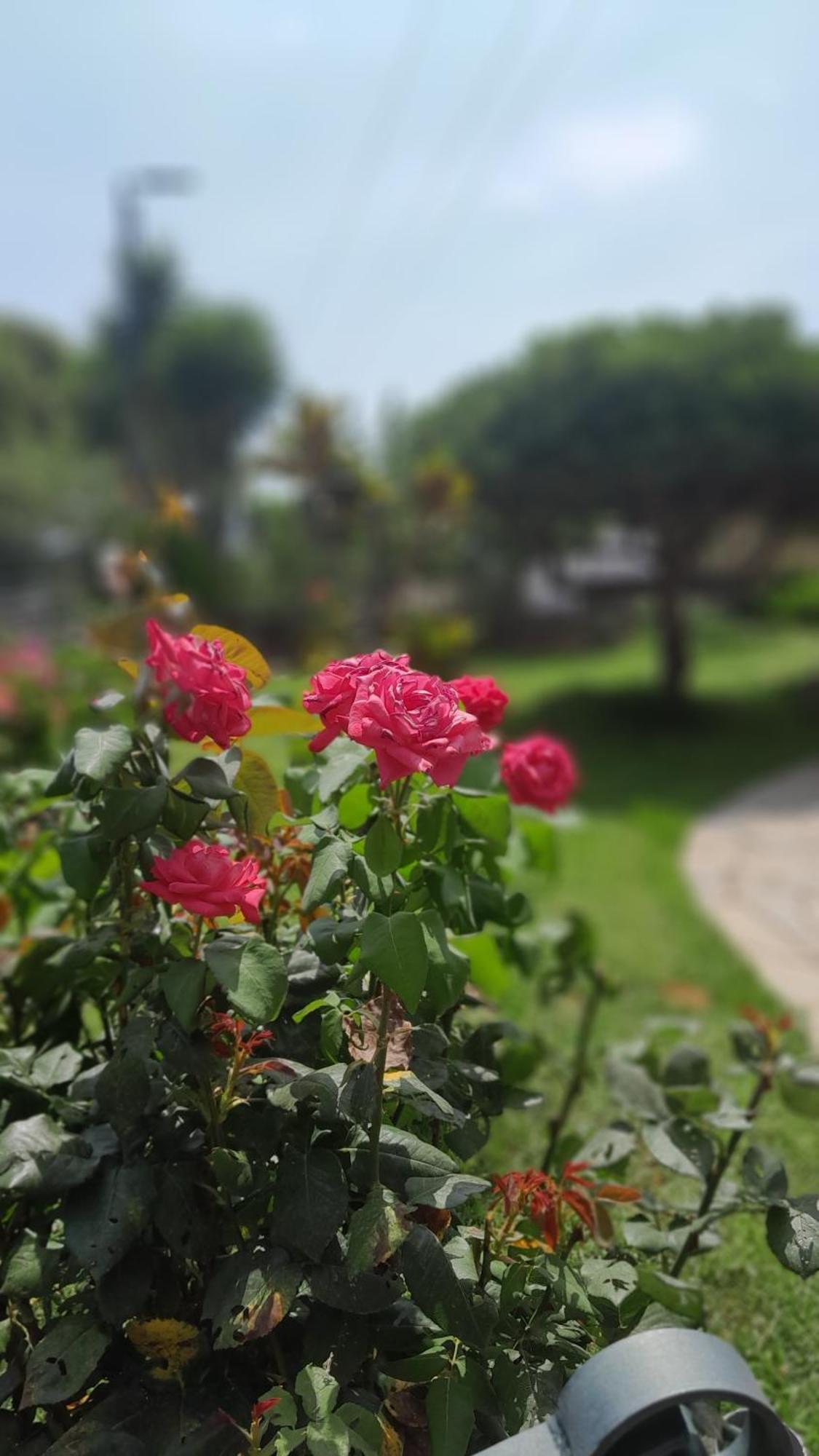 Paradise Holiday home Dhaskalion