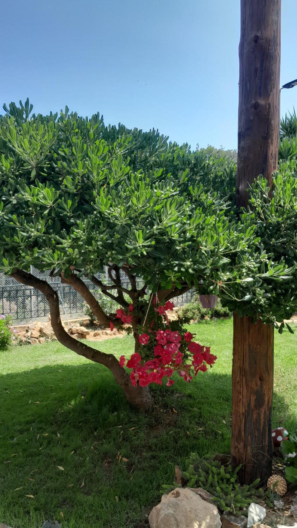 Holiday home Paradise Dhaskalion