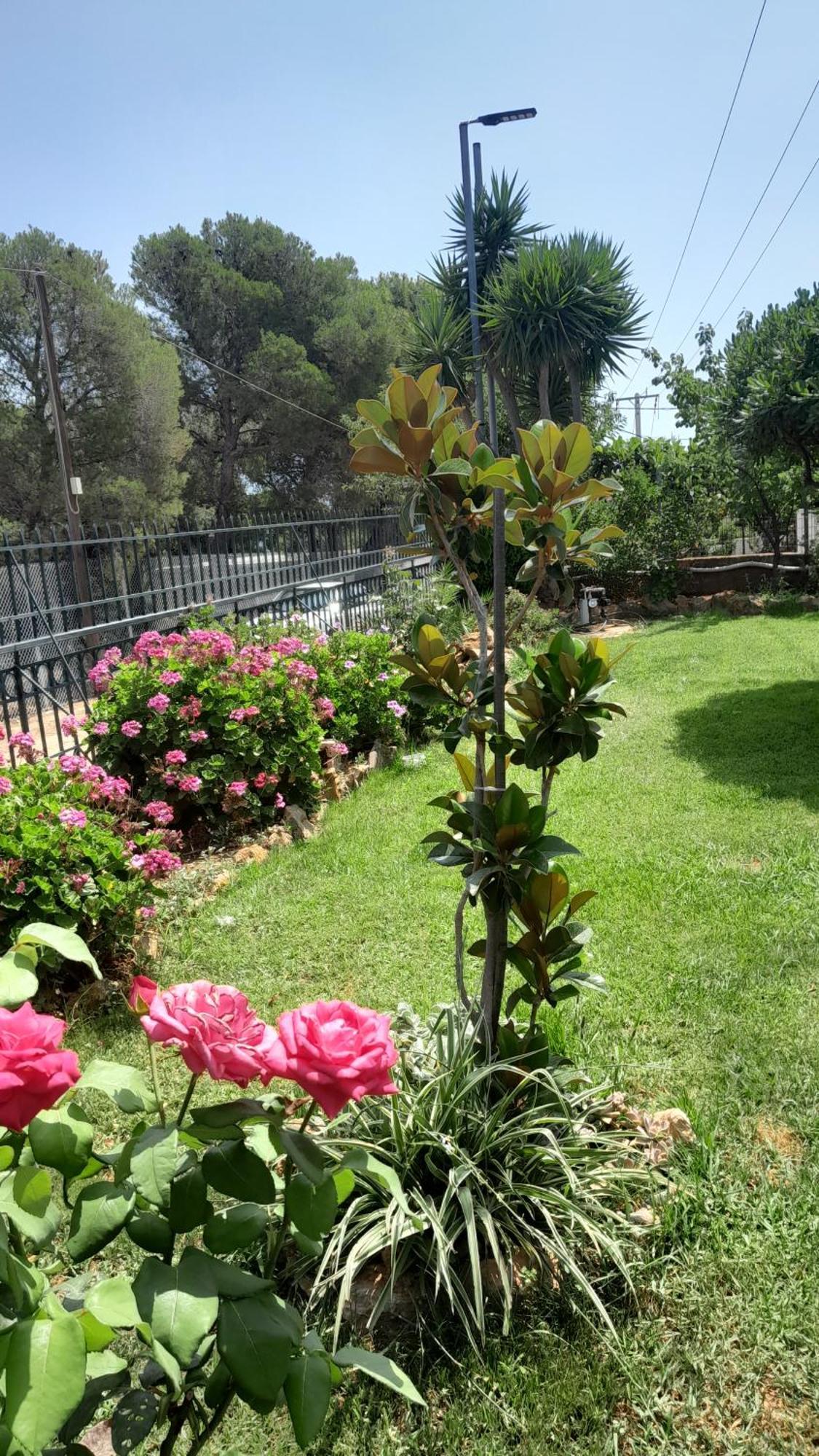 Paradise Dhaskalion