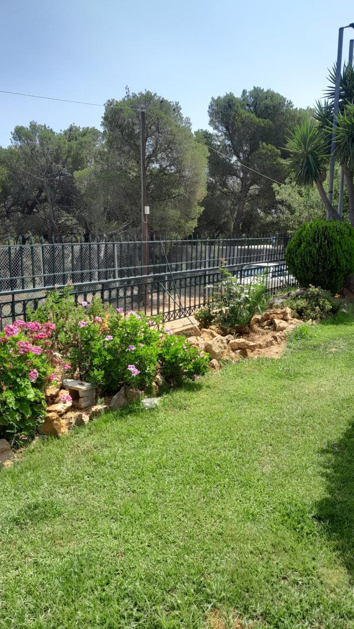 Paradise * Dhaskalion